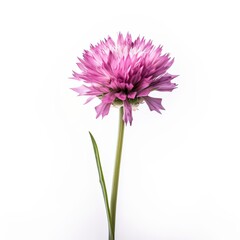 Naklejka premium Thrift