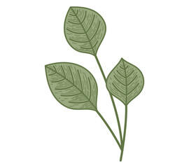 Decorative vector flat twig with leaves. Natural isolated plant design element, sketch style.