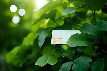 Green credit card on a background of green leaves. Green Friday, sustainable consumption, sustainability, ecology, zero waste and sale concept. Copy space for text - obrazy, fototapety, plakaty