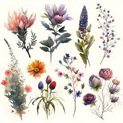 watercolor of various flowers wallpaper  © Bryan