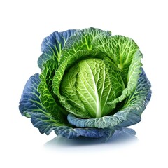 Fototapeta premium cabbage