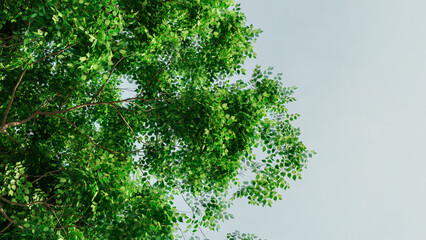 tree under a blue sky .look at the sky under a tree. 3d tree in the wind with copy space. 