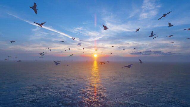 A flock of seagulls flying freely over the vast sea.