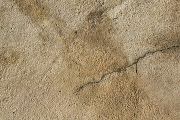 The concrete floor has cracks from the deterioration of the place.