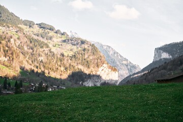 Majestic Dolomites Landscape. Snow-Covered Mountains and Pine Trees in the Italian Alps. A snow covered mountain with pine trees in the foreground.
