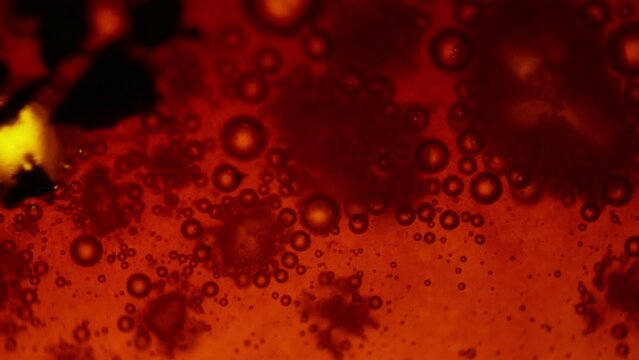 Chemical reaction NaHCO3 and FeCl3 under microscope. Tiny bubbles of carbon dioxide are released. Research laboratory