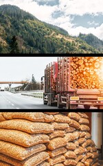 A Sustainable Future. The Wood Pellet Journey from Forest to Home Heating. Three steps of...