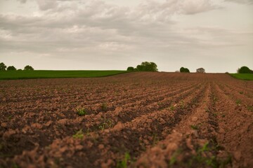 Brown Agricultural Soil in a Plowed fertile Field, Embracing the Rural Farm Landscape. Nurturing the Earth.