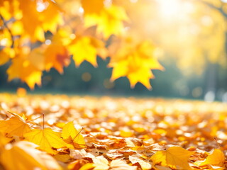 Natural autumn background. Beautiful orange and golden autumn leaves against a blurry park in sunlight with beautiful bokeh. 