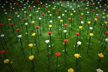 LED rose flowers garden on green grass background