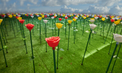 LED rose flowers garden on green grass and sky background