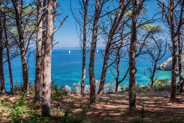Isola d'Elba, vista dall'Acquaviva