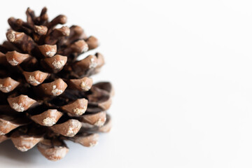 Part of a big pine cone. Part of a big pine cone isolated on white background. Selective Focus.