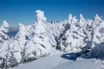 快晴の青空と真っ白な樹氷に覆われた北横岳登山4
