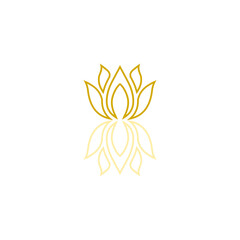 Lotus reflection icon isolated on transparent background