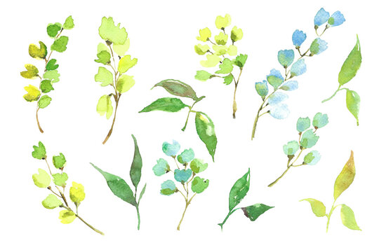 Watercolor clipart roses and greenery.