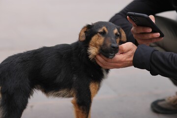 the person pets the dog on the street while on their cell phone