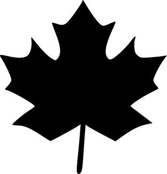 Maple icon vector symbol design illustration