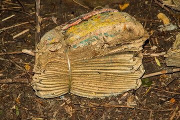 Discarded bundle of brochures in a forest