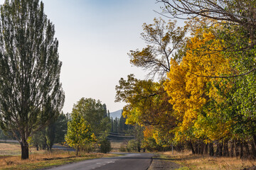 Old asphalt road with yellow trees in early autumn. Road to autumn.