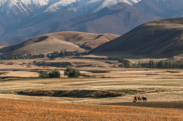 Mountains and rural life in Kyrgyzstan. In the distance are three young horsemen and a dog. Traditional means of transportation in Kyrgyzstan.