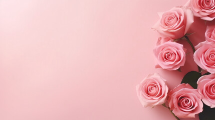 Fototapeta na wymiar Pink roses on a pink background