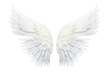 Isolated angel wings - obrazy, fototapety, plakaty