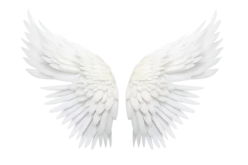 Fotobehang Isolated angel wings © bramgino