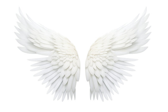 Isolated angel wings