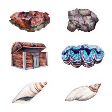 Collection of Seashells, Rocks and Treasure Chest with Blue Giant Clam. Underwater Tropical Coral Reef selection. For Marine Life Designs. Under the Sea Group of Elements.