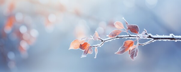 frozen branch with autumn leaves autumn winter background - Powered by Adobe
