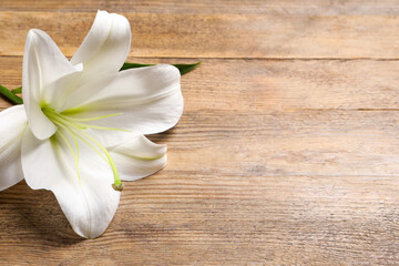 Fototapeta na wymiar Beautiful white lily flower on wooden table, closeup. Space for text