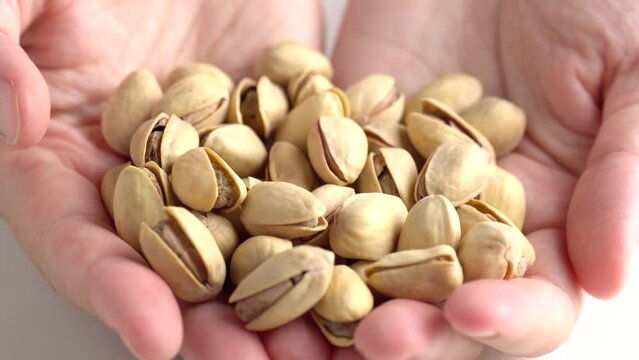 Woman holding pistachio nuts in hand, closeup. Organic snack