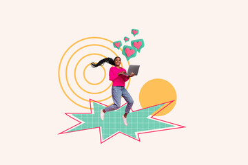 Collage of funky girl with laptop smm targetolog working remote freelancer create popular instagram...
