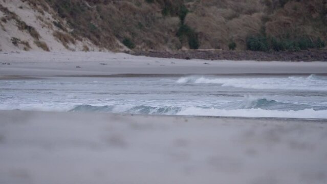 Ocean Waves Rolling To The Sandfly Bay Beach In Dunedin, New Zealand. - wide