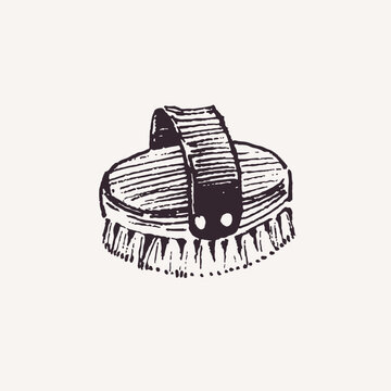 recommend clip art: Hand drawn wooden brush, animal grooming item, engraving style drawing