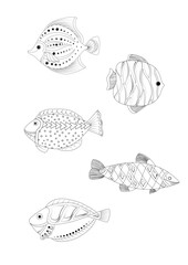 set of fish