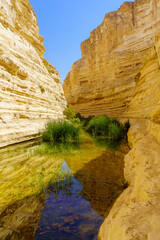 Ein Avdat National Park Canyon, oasis in the Negev Desert