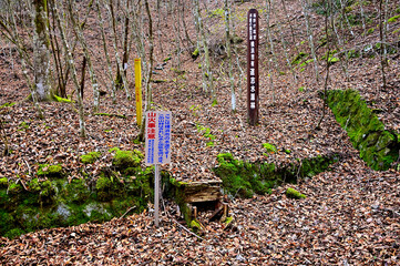 丹沢の山伏峠の登山口
