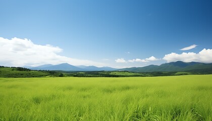 Minimalist background