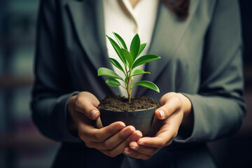 businessman holding plant