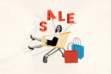Photo collage artwork minimal picture of excited funky lady riding shopping cart isolated graphical background
