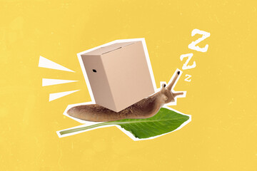 Composite collage picture of sleepy slow snail crawl leaf carry shipment box instead shell isolated...