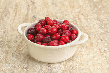 Ripe sweet tasty cranberry in the bowl