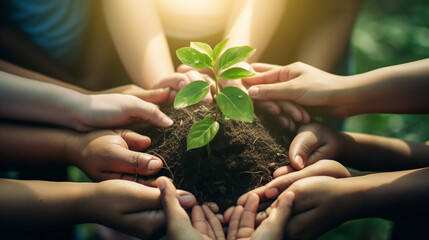 Support, environment and plant with hands of business people for sustainability, earth day and growth. Wellness, teamwork and peace with group and soil for climate change, future and eco friendly