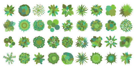 Trees top view. Different plants and trees vector set for architectural or landscape design. (View from above) Nature green spaces. Vector illustration. - obrazy, fototapety, plakaty