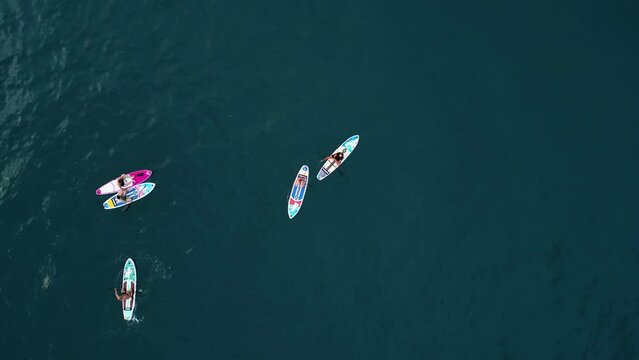 Aerial drone footage people learning water sports standup paddleboarding (sup boarding)