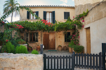 Fototapeta na wymiar Mallorcan rustic house facaha