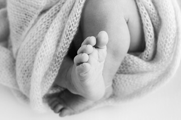 The tiny foot of a newborn baby. Soft feet of a new born in a wool blanket. Close up of toes, heels and feet of a newborn. Macro photography. Black and white 