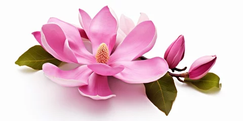 Poster Pink magnolia flower isolated on white background with full depth of field : Generative AI © Generative AI